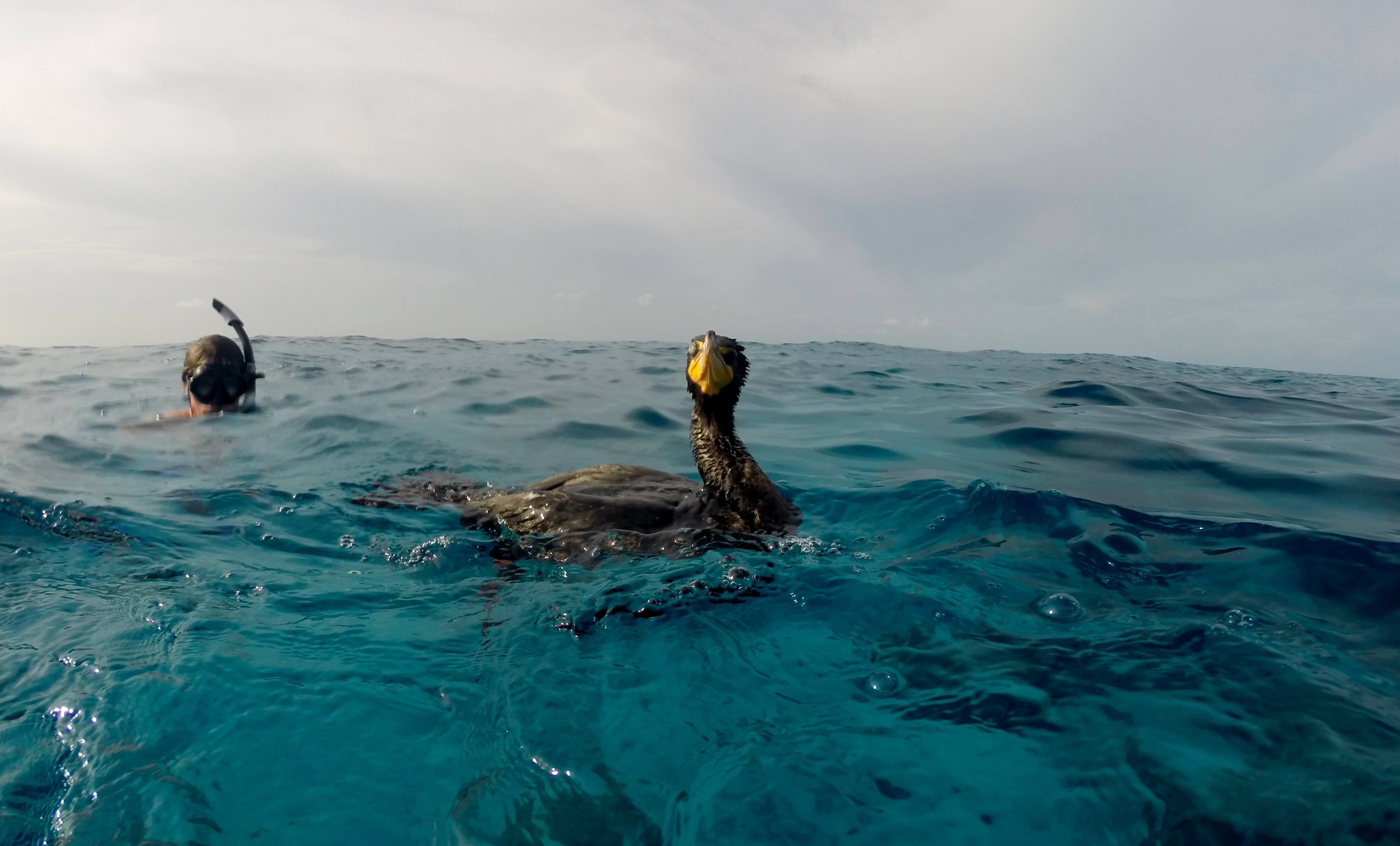 Caribbean kayaking moment 1