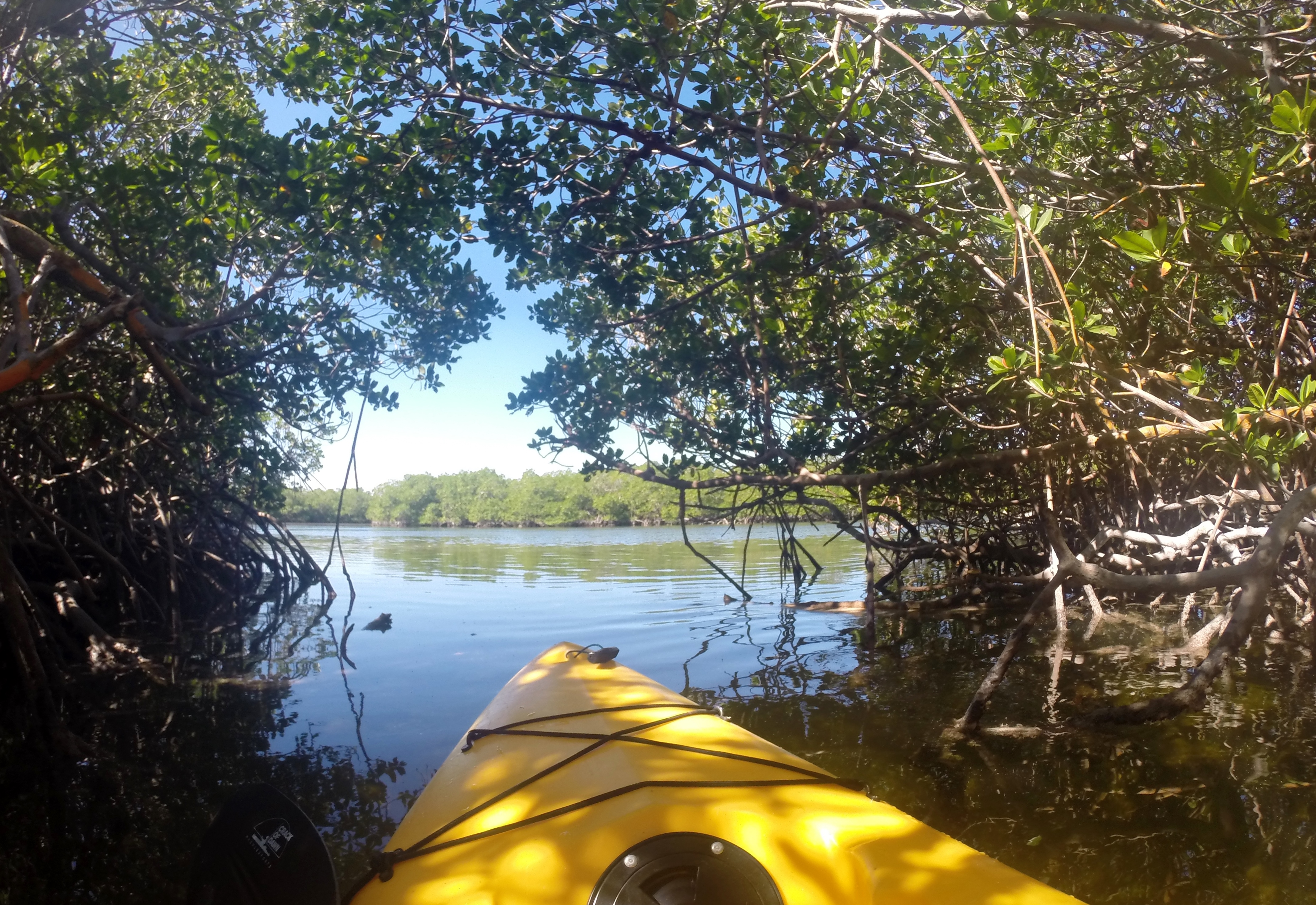 Caribbean kayaking moment 2
