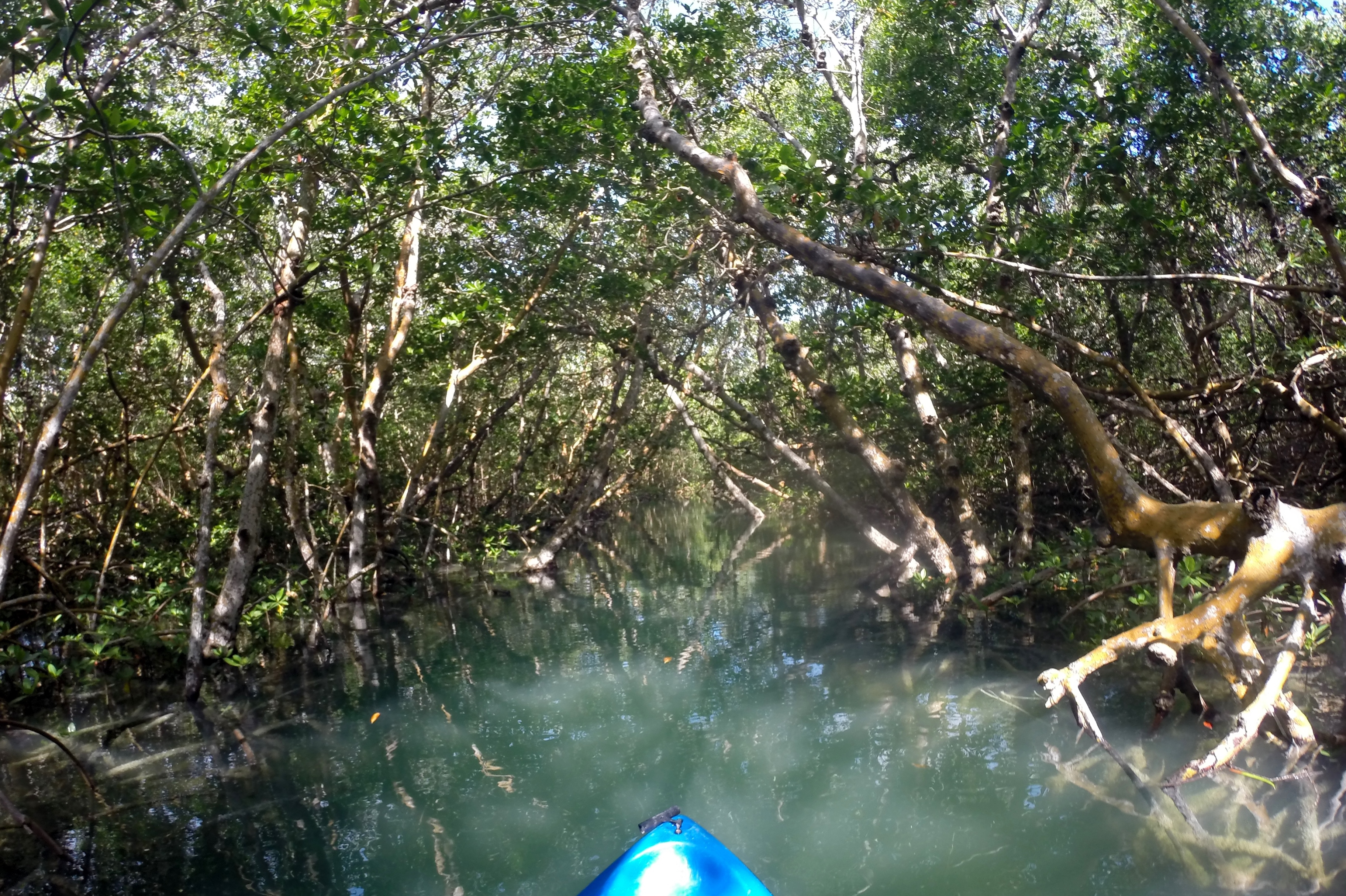 Caribbean kayaking moment 6